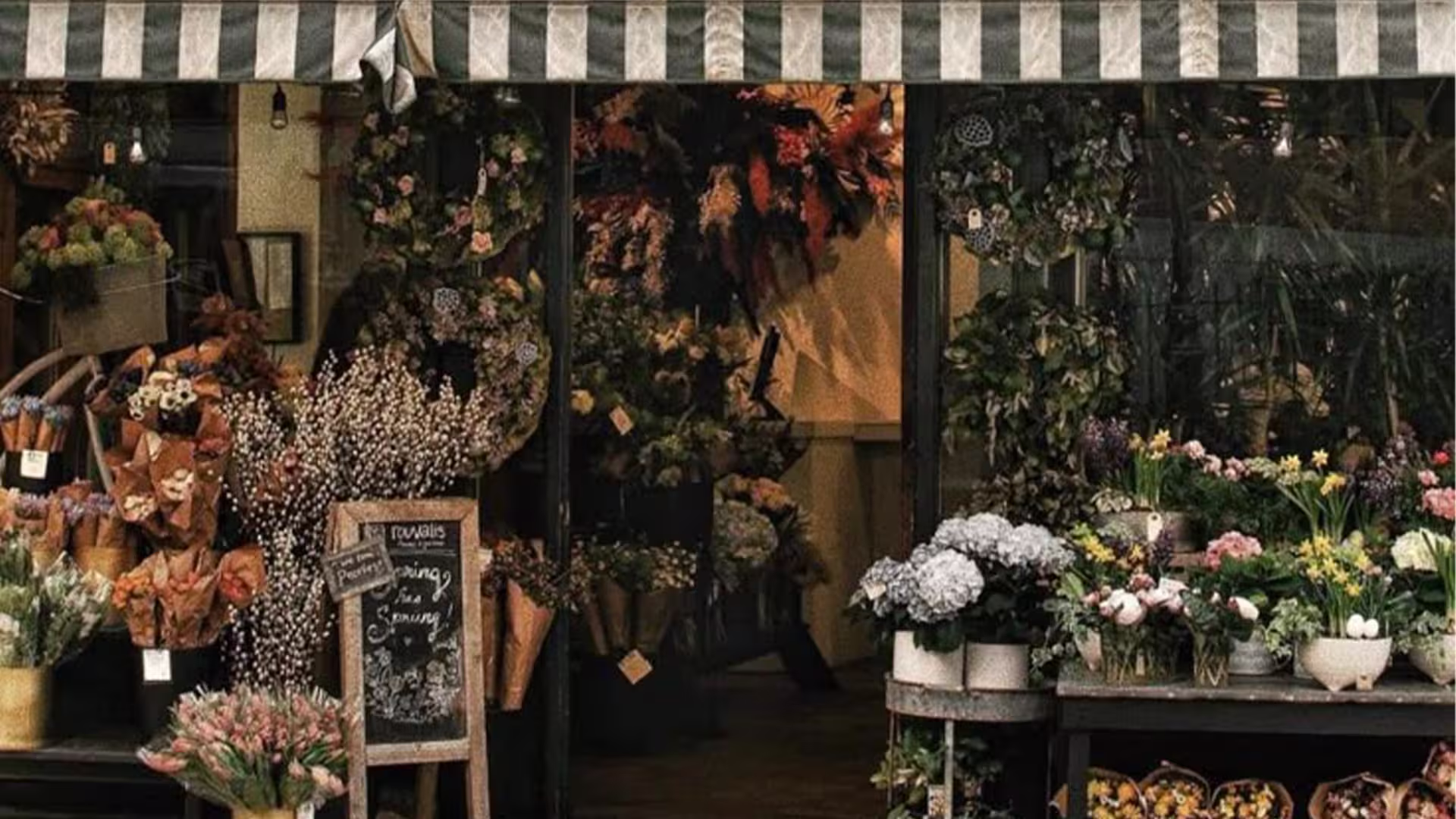 نحوه اتصال سایت به شبکههای اجتماعی و مدیریت محتوا