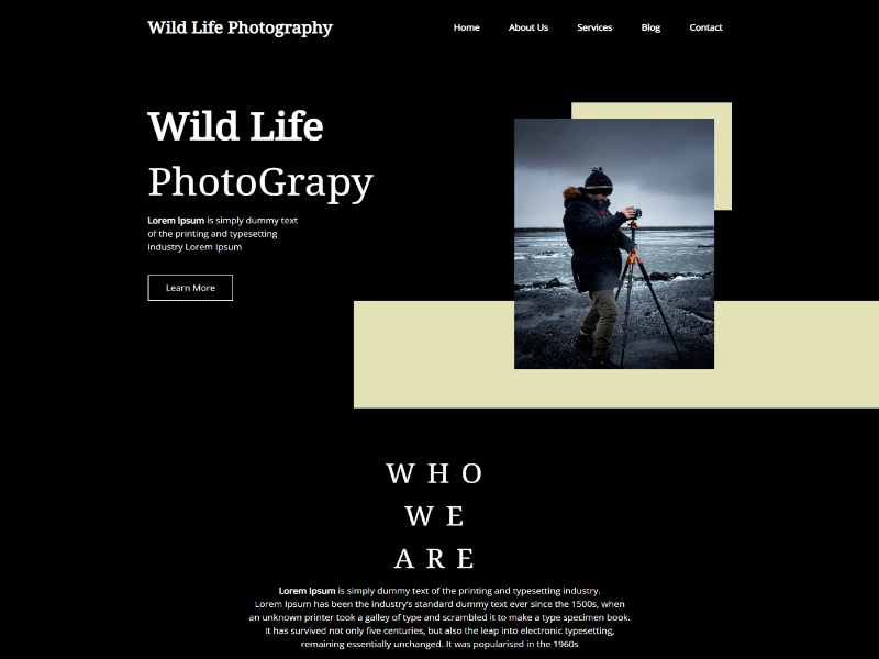 Wild Life Photography demo