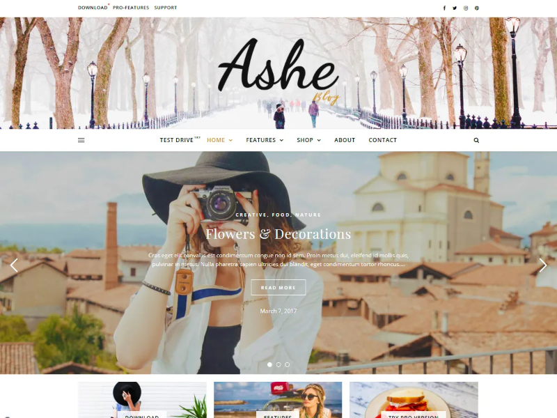 ashe theme