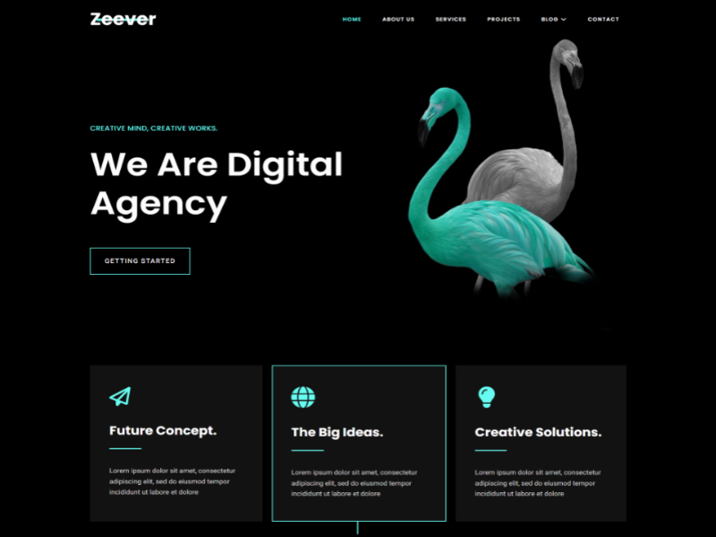zeever demo homepage